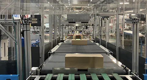 Carton Packaging System